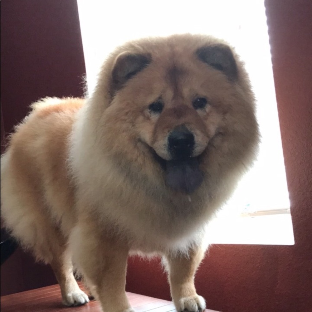 Meet your Posher, Vanesa